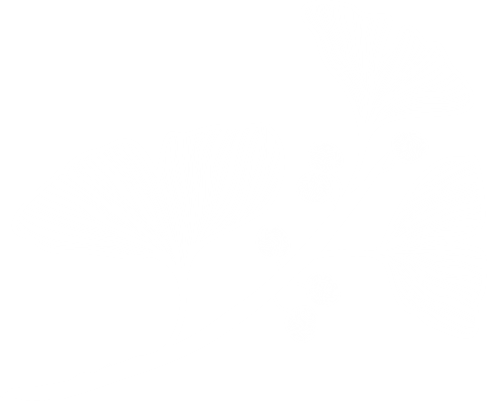 branch